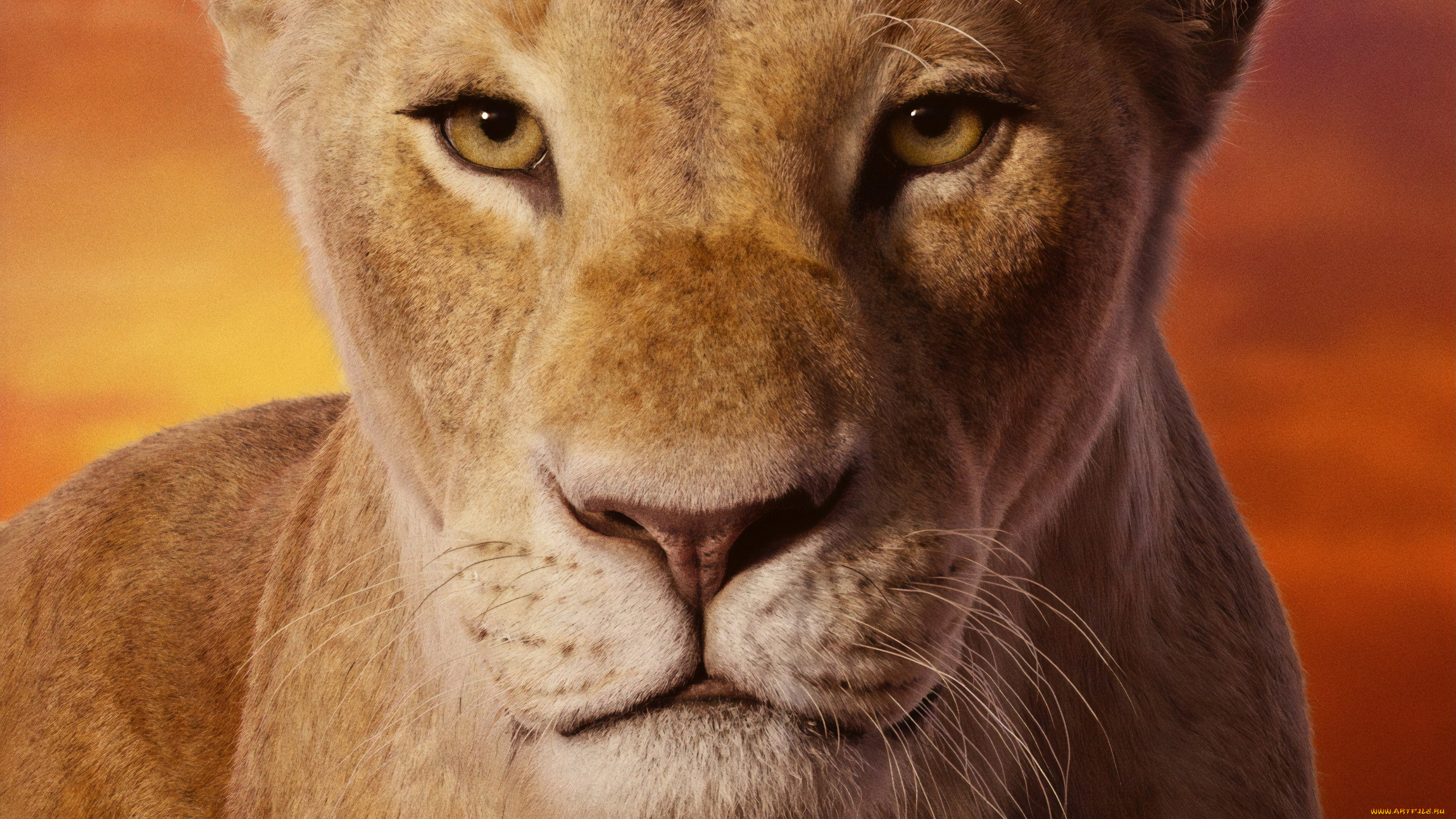  , the lion king , 2019, 